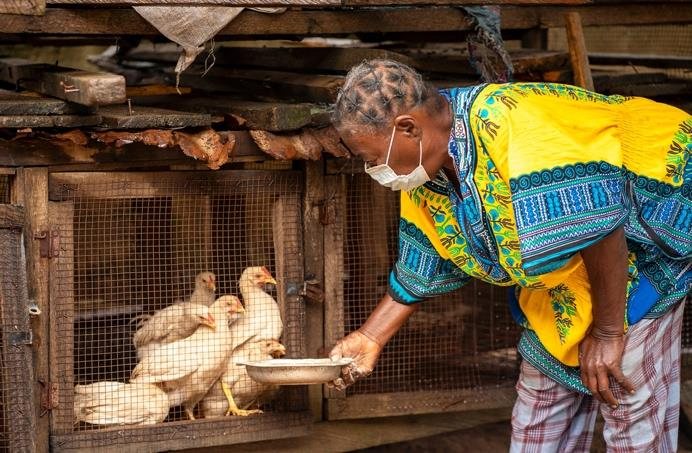 Poultry farming and management