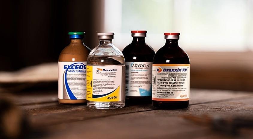 Veterinary medicines on a bench