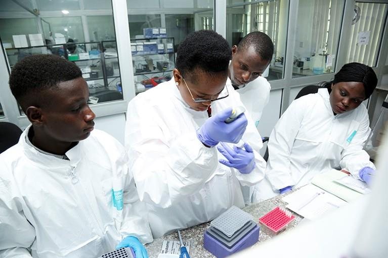 Researchers working in a laboratory